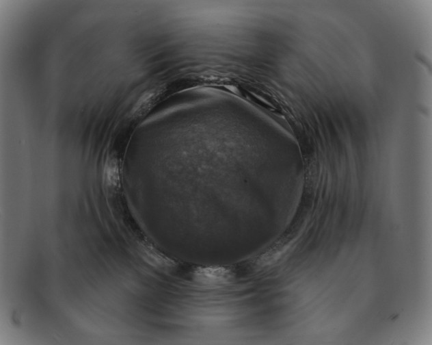 X0000091290137200708311325