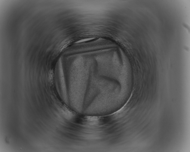 X0000091290144200708311325