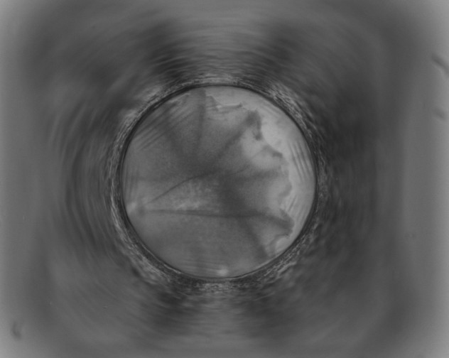 X0000091290145200708311324