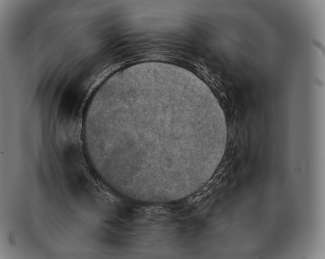 X0000091290146200708311324