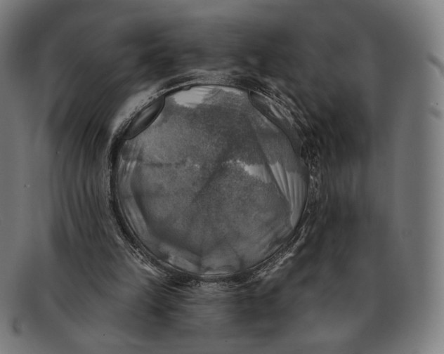 X0000091290149200708311324