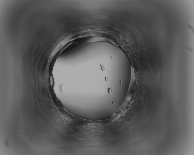 X0000091290150200708311324