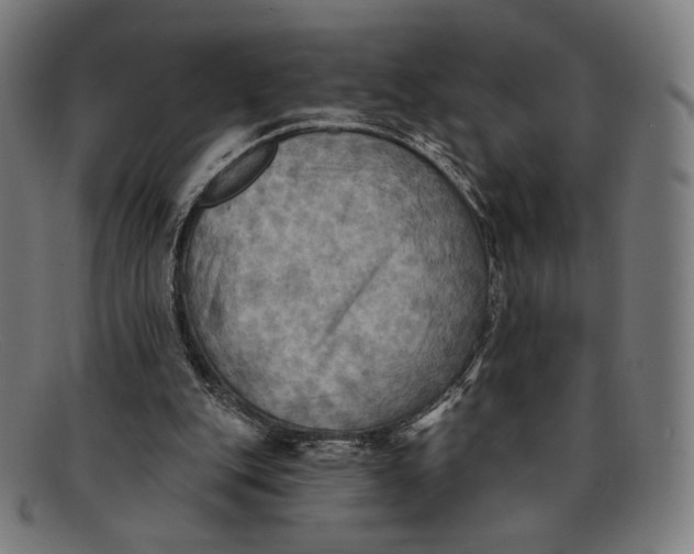 X0000091290151200708311324