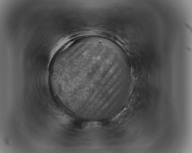 X0000091290152200708311324