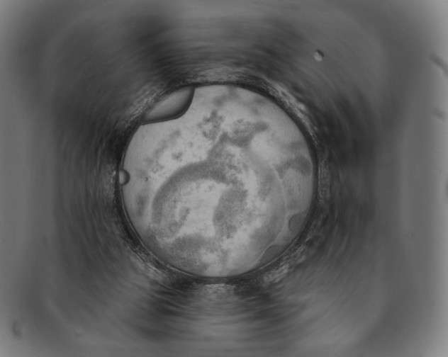 X0000091290153200708311324