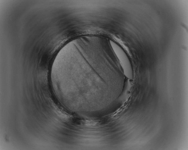 X0000091290154200708311324