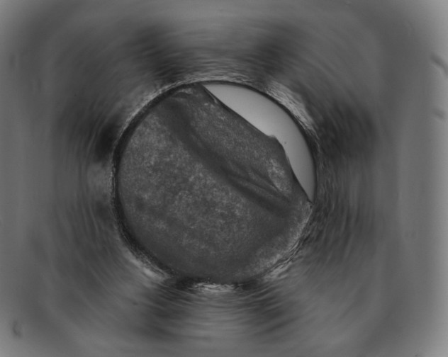 X0000091290156200708311324