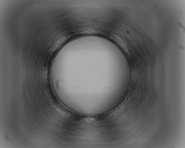 X0000091290159200708311324