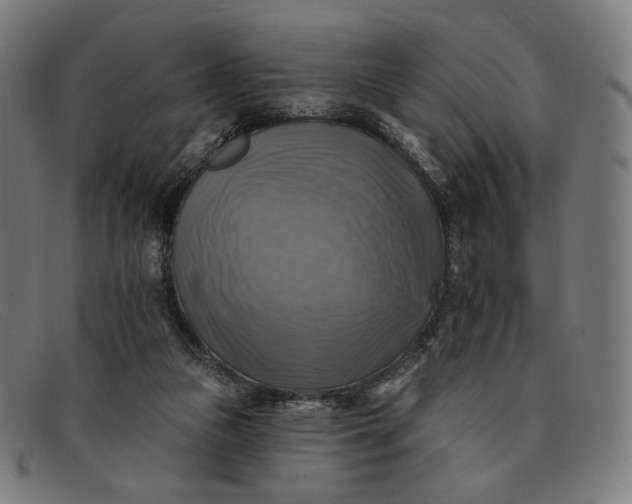 X0000091290161200708311324