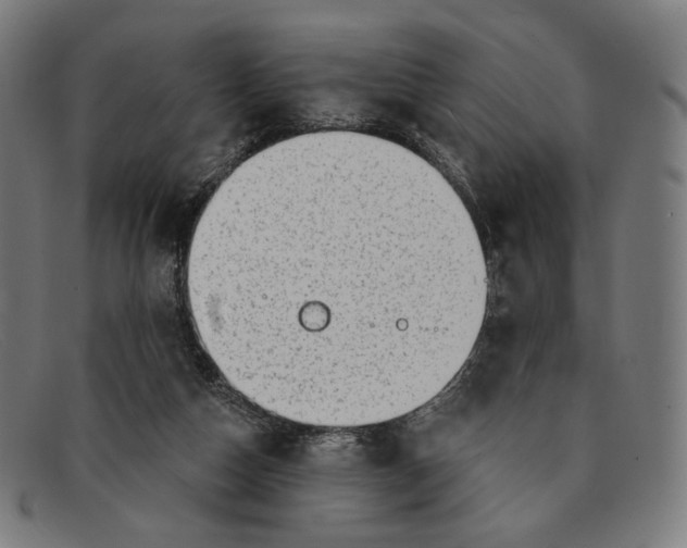 X0000091290162200708311324