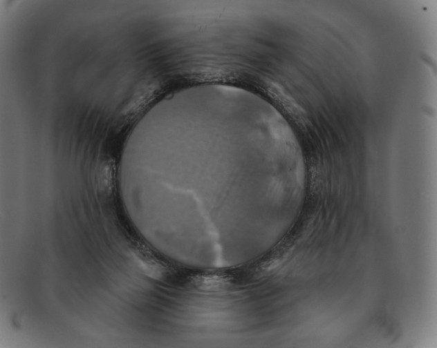 X0000091290165200708311324