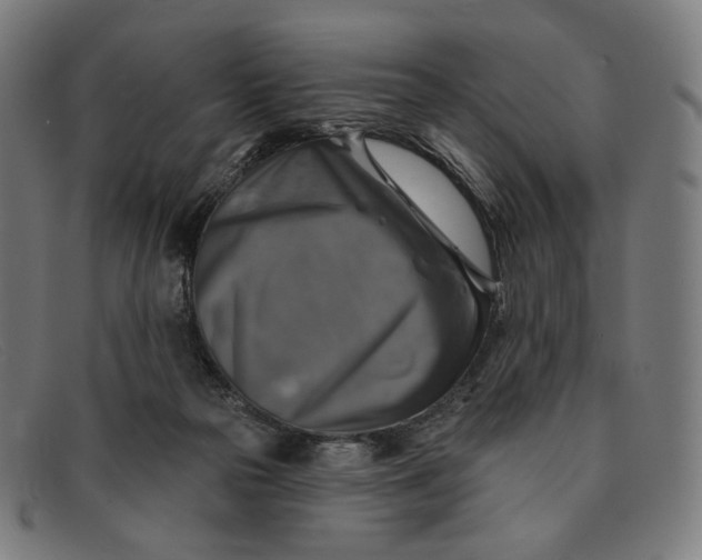 X0000091290169200708311324