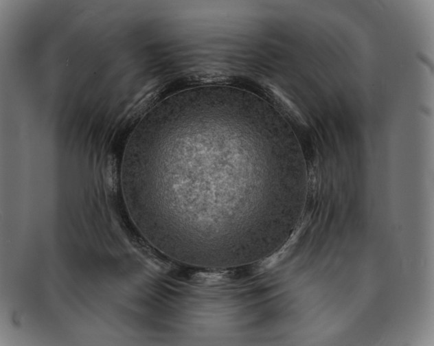 X0000091290170200708311324