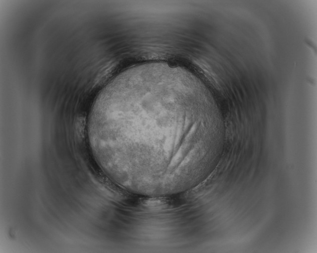 X0000091290171200708311324