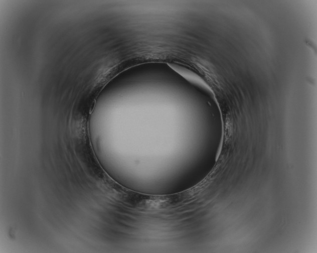 X0000091290172200708311324