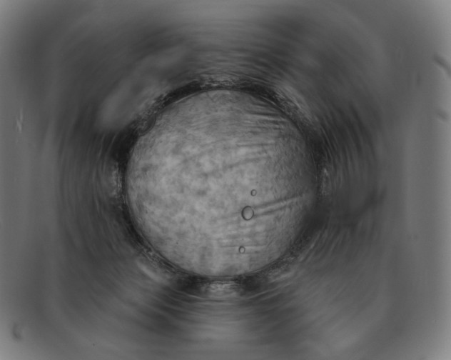 X0000091290173200708311324