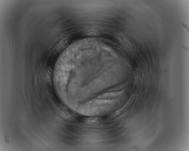 X0000091290175200708311324