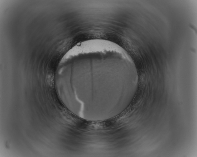 X0000091290177200708311324