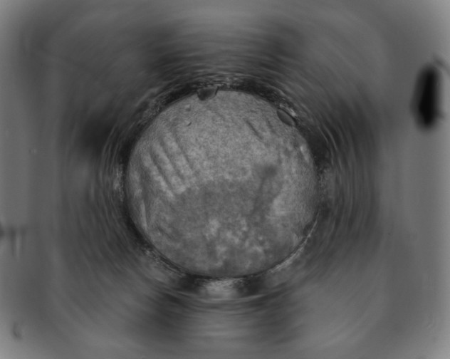 X0000091290178200708311324