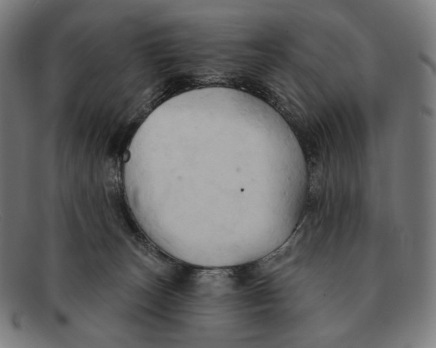 X0000091290179200708311324