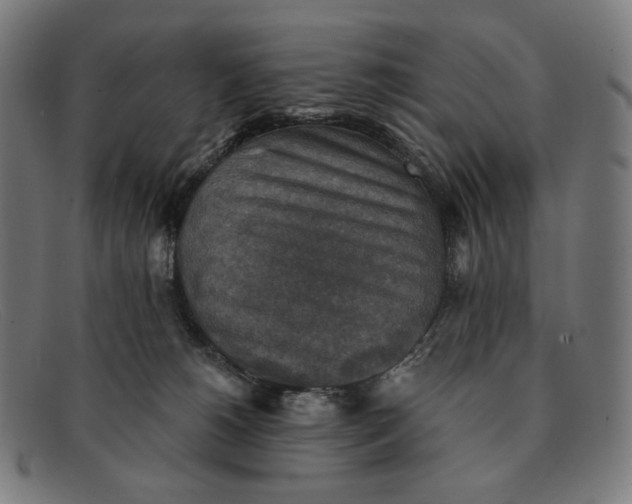 X0000091290180200708311324