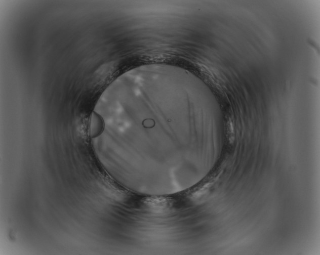 X0000091290181200708311324