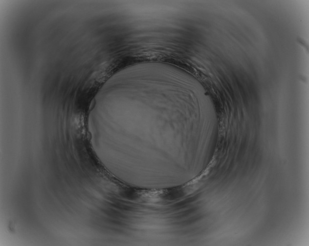 X0000091290182200708311324