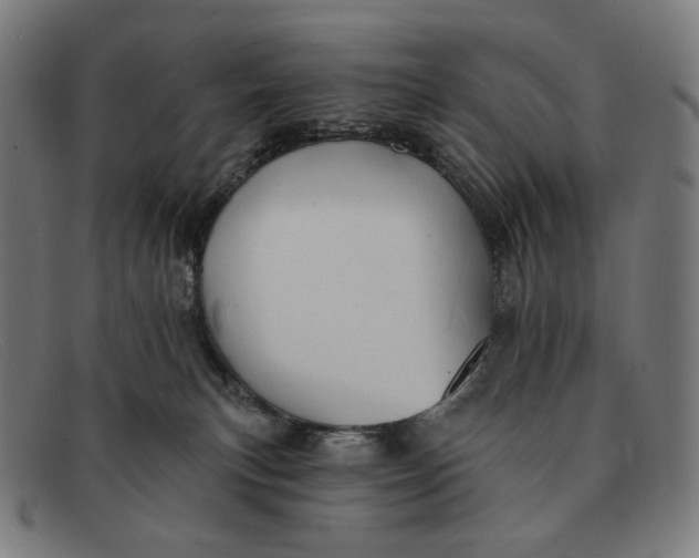 X0000091290183200708311324