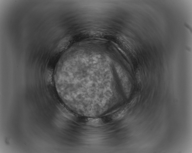 X0000091290185200708311324