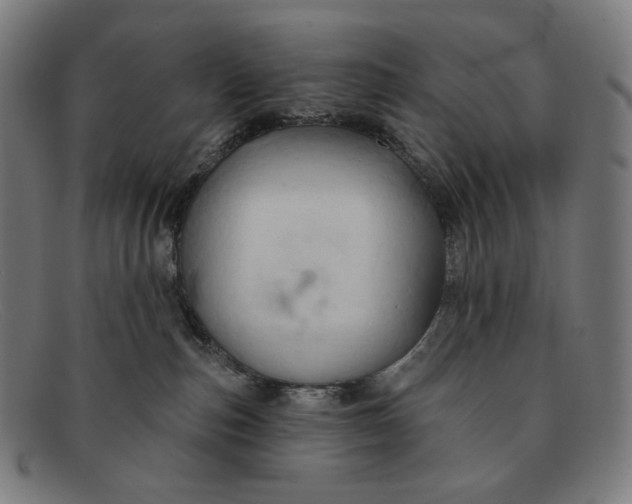 X0000091290187200708311324