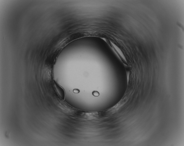 X0000091290188200708311324