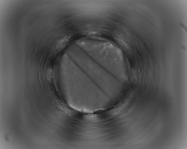 X0000091290189200708311324