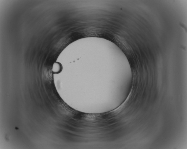 X0000091290190200708311324