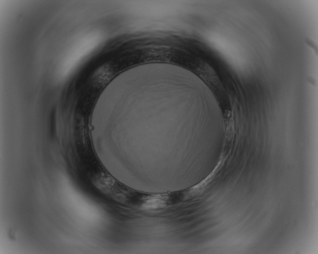 X0000091290191200708311324