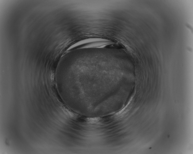 X0000091290192200708311324