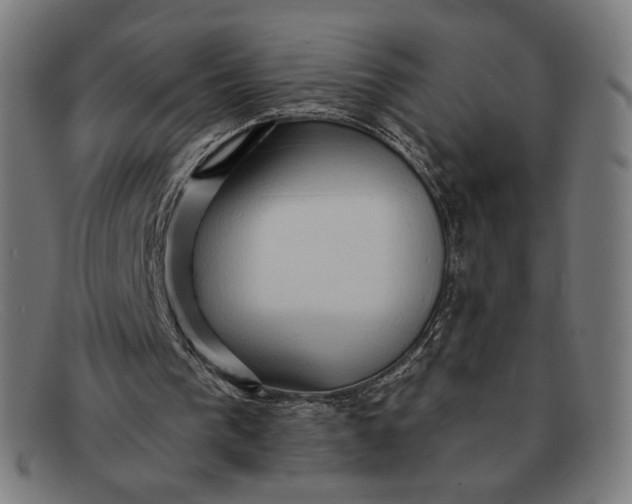 X0000091290193200708311324