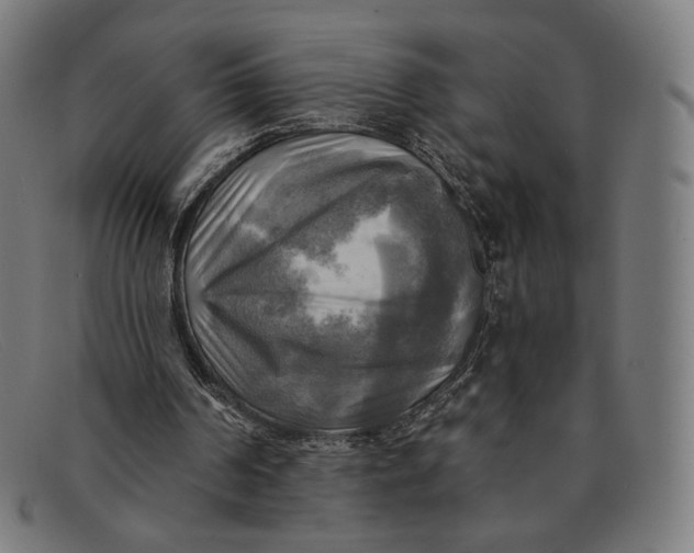 X0000091290194200708311324