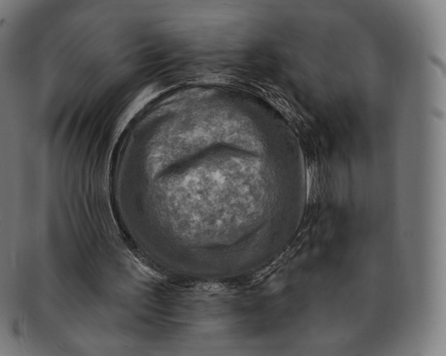 X0000091290195200708311324