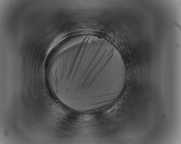 X0000091290198200708311324