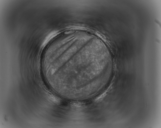 X0000091290199200708311324