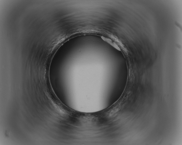 X0000091290201200708311324