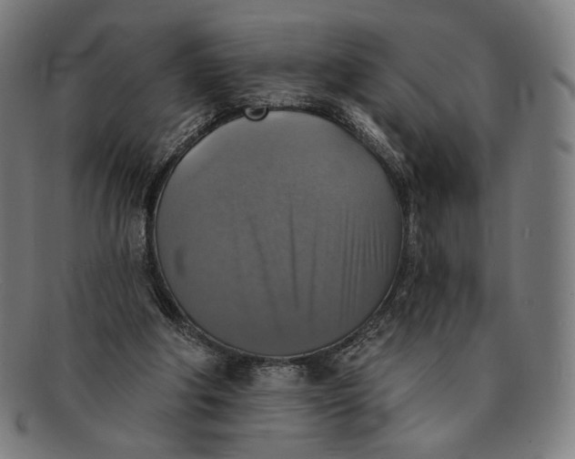 X0000091290202200708311324