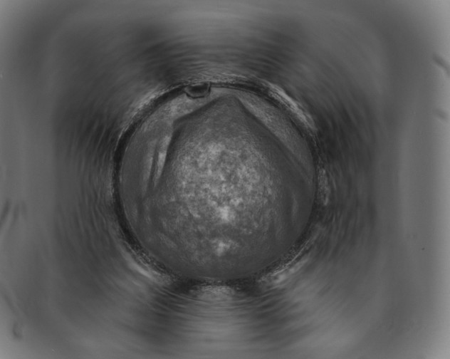 X0000091290203200708311324