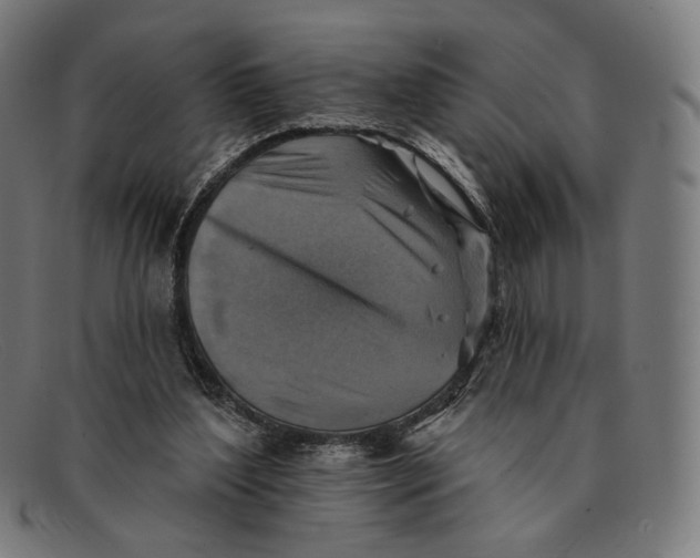 X0000091290204200708311324