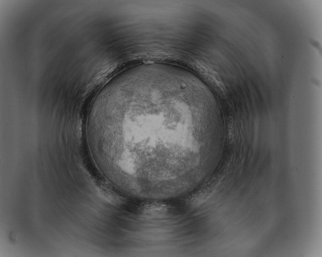 X0000091290206200708311324