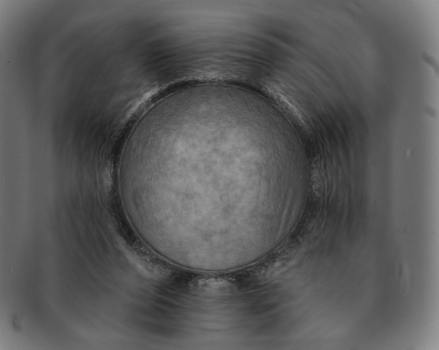 X0000091290208200708311324