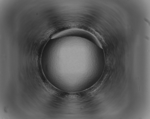 X0000091290209200708311324