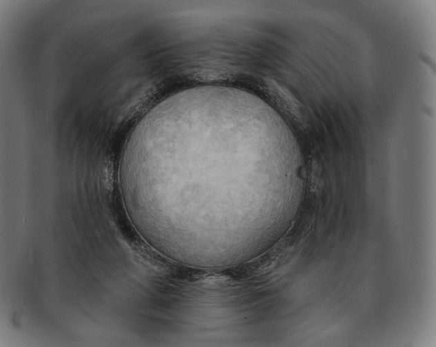 X0000091290210200708311324