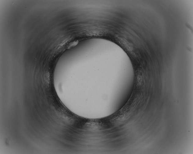 X0000091290211200708311324