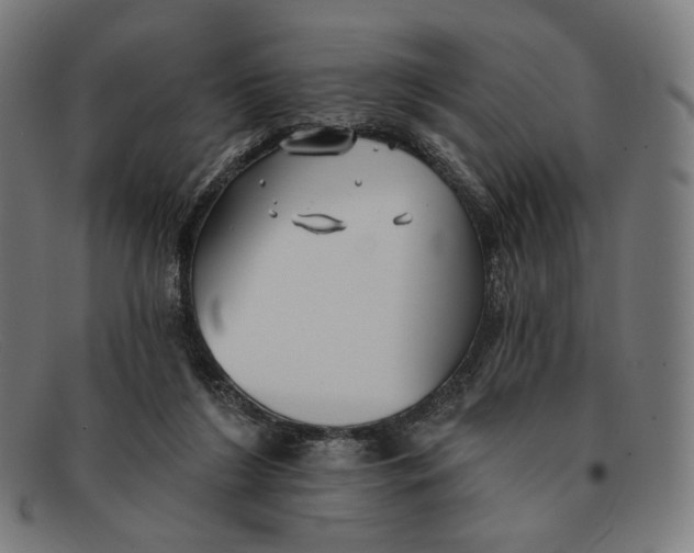 X0000091290212200708311324